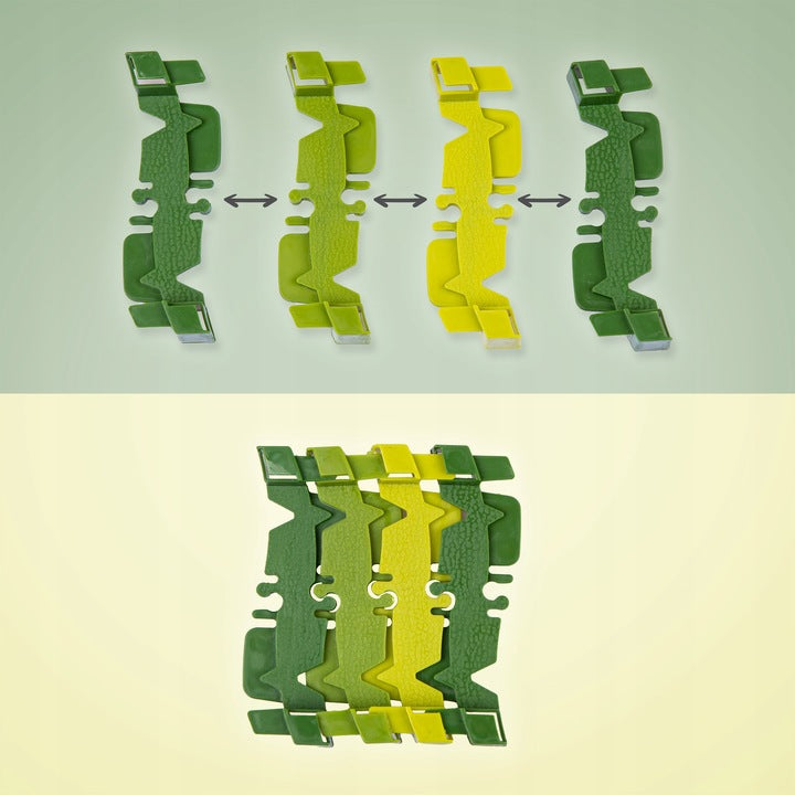 Tor Wyścigowy Dino Park